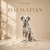 DALMATIAN