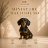 MINIATURE DACHSHUND