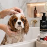 Premium-sampon-za-pse-kupanje-TOUCHME®-NANO-SHAMPOO-TOUCH-ACTIVATE-–-SEA-MINERALS-RED-200ml