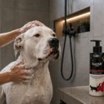 Premium-sampon-za-pse-kupanje-kuce-TOUCHME®-NANO-SHAMPOO-TOUCH-ACTIVATE-–-SEA-MINERALS-RED-200ml