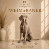 WEIMARANER