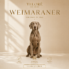 WEIMARANER