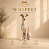 WHIPPET