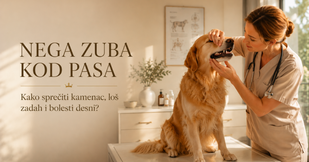 nega zuba kod pasa, kamenac kod pasa loš zadah kod pasa oralna higijena pasa dentalna higijena pasa kako očistiti zube psu gingivitis kod pasa parodontopatija kod pasa dentalne poslastice za pse žvakalice za zube pasa sir za pse cheese chew za pse prirodna žvakalica za pse kako sprečiti kamenac kod pasa zdravlje zuba pasa